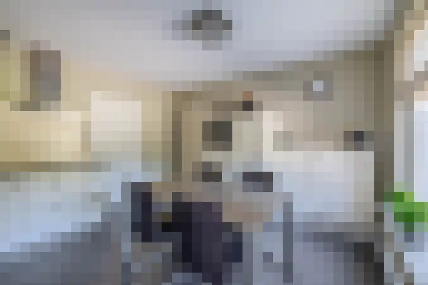 Dokter Duchateaustraat 25 Bergeijk thumbnail 21