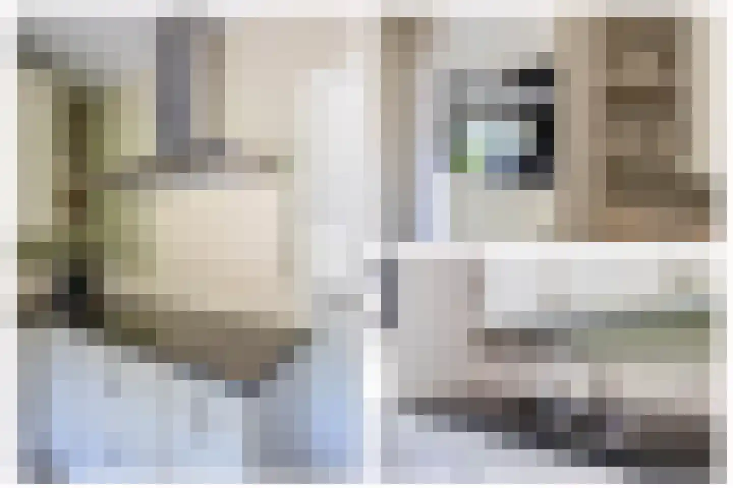 Dokter Duchateaustraat 25 Bergeijk thumbnail 23