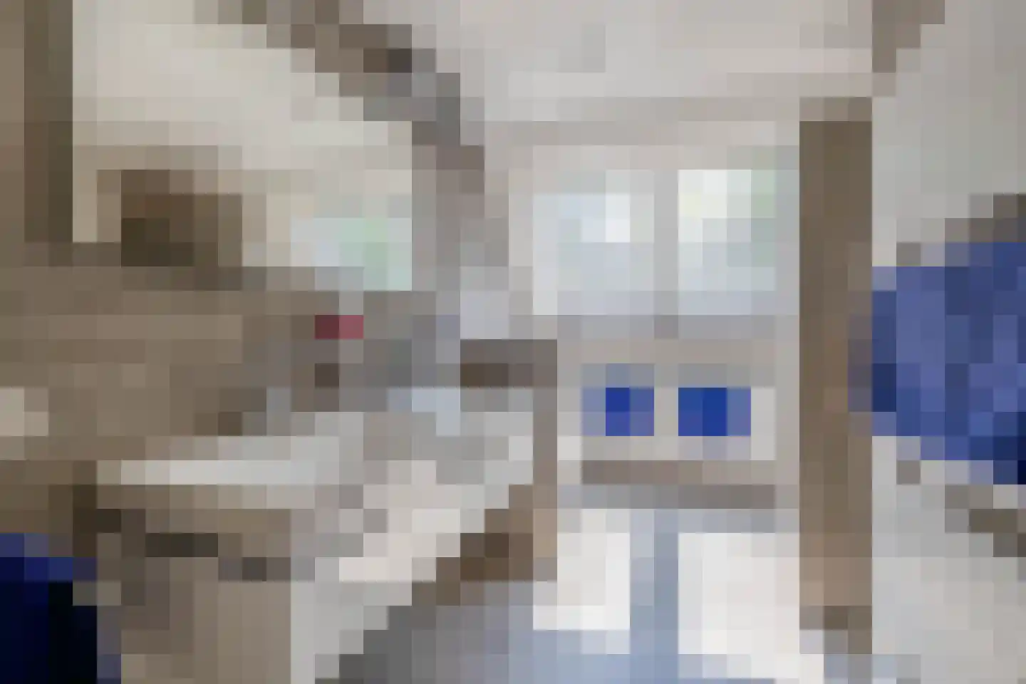 Dokter Duchateaustraat 25 Bergeijk thumbnail 40