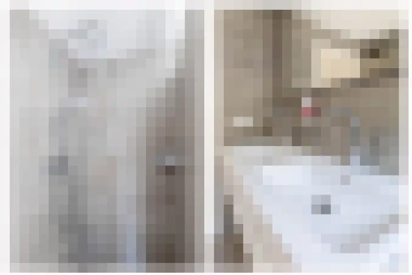 Dokter Duchateaustraat 25 Bergeijk thumbnail 41