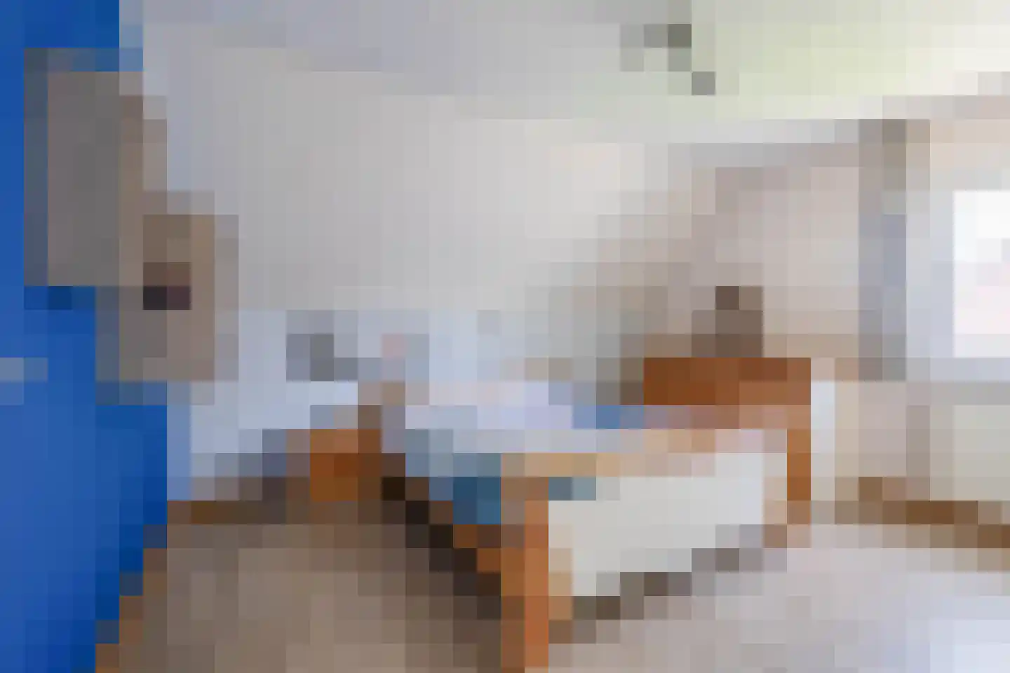 Dokter Duchateaustraat 25 Bergeijk thumbnail 43