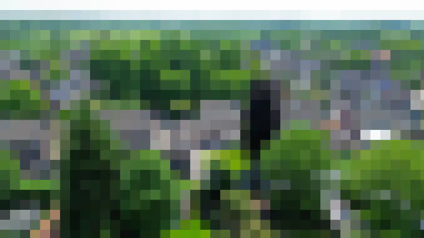 Dokter Duchateaustraat 25 Bergeijk thumbnail 49
