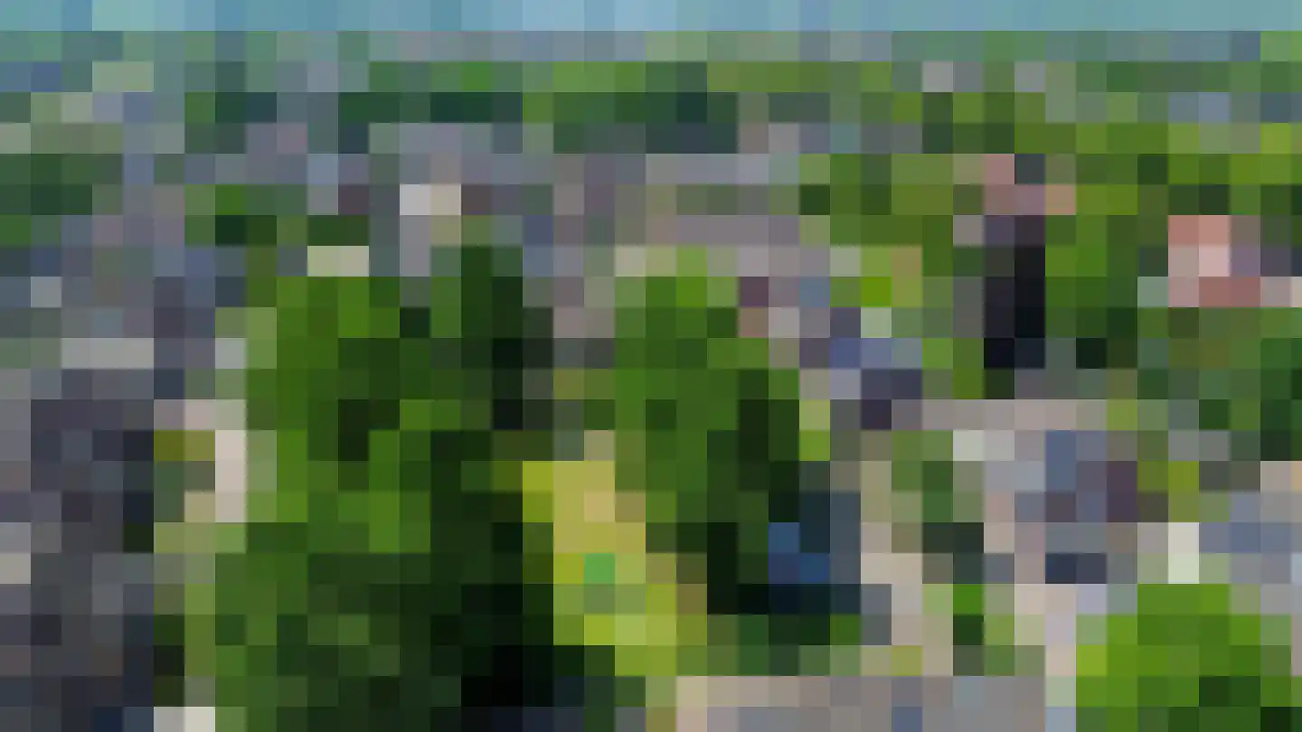 Dokter Duchateaustraat 25 Bergeijk thumbnail 52