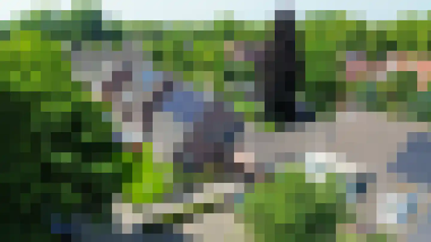 Dokter Duchateaustraat 25 Bergeijk thumbnail 54