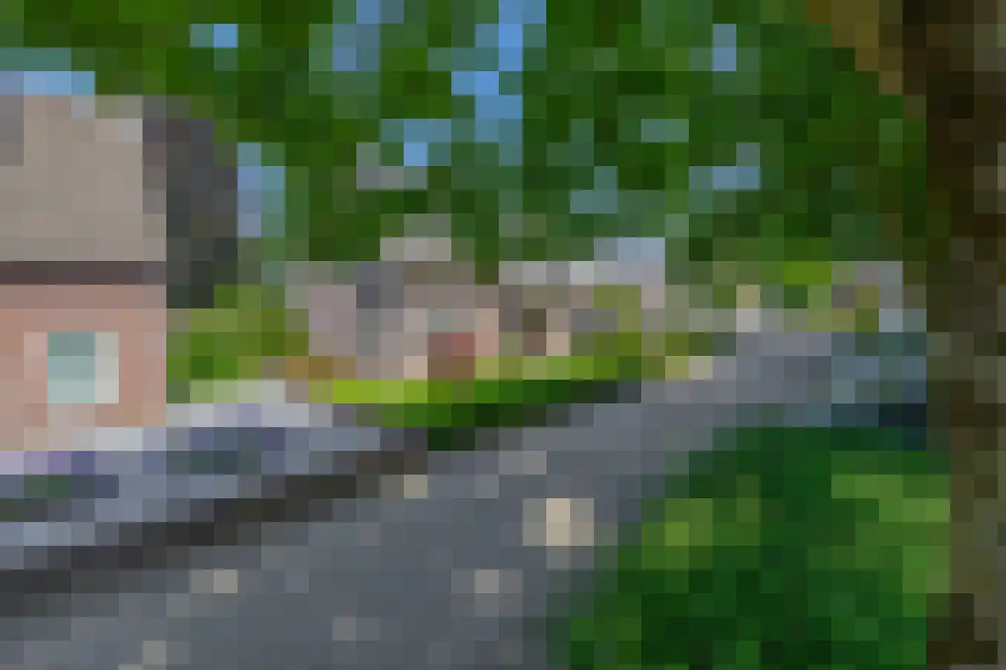 Dokter Duchateaustraat 25 Bergeijk thumbnail 7