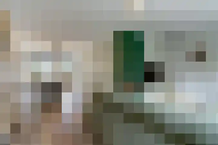 Dokter Duchateaustraat 35 Bergeijk thumbnail 11