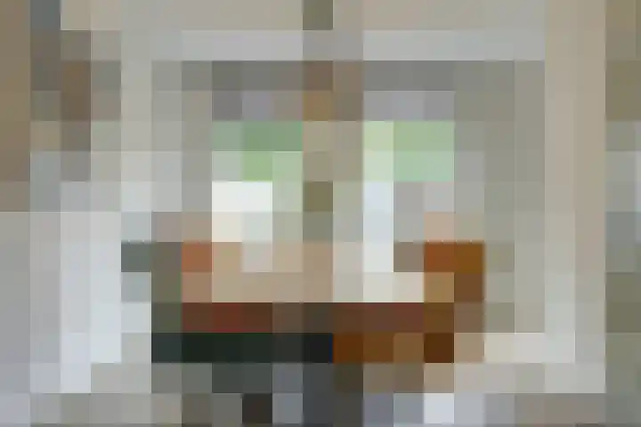 Dokter Duchateaustraat 35 Bergeijk thumbnail 14