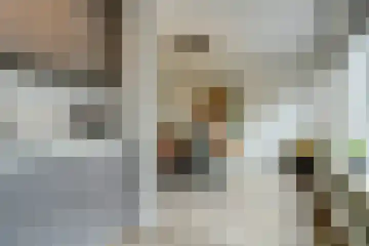 Dokter Duchateaustraat 35 Bergeijk thumbnail 19
