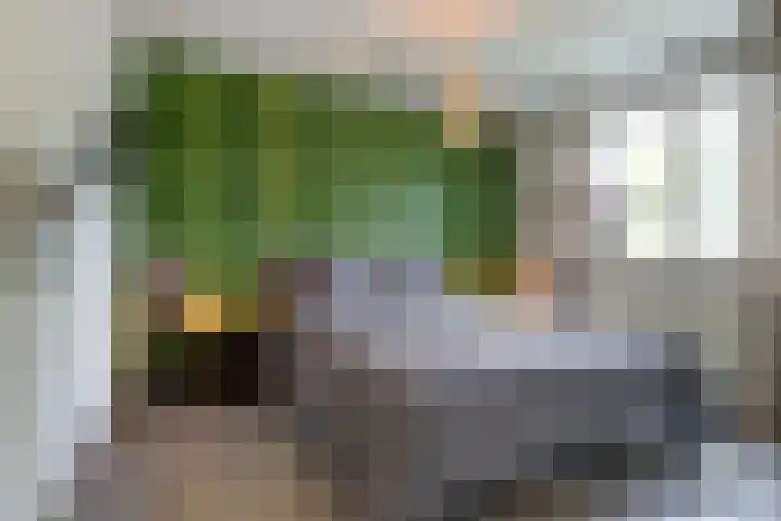 Dokter Duchateaustraat 35 Bergeijk thumbnail 21