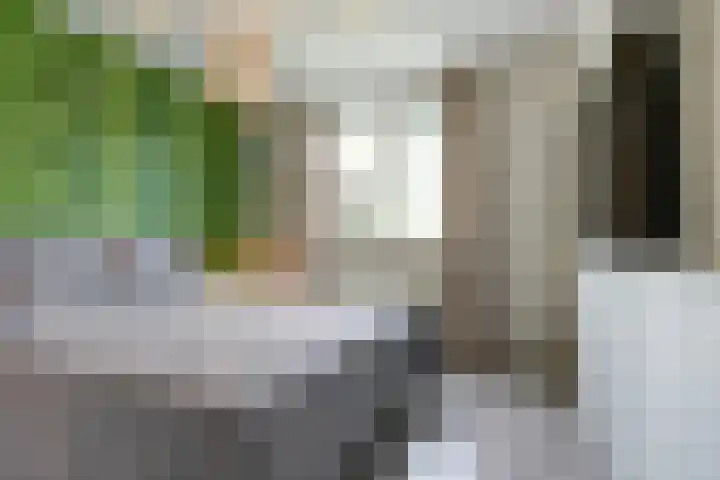 Dokter Duchateaustraat 35 Bergeijk thumbnail 22