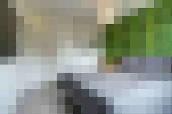 Dokter Duchateaustraat 35 Bergeijk thumbnail 23