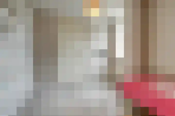 Dokter Duchateaustraat 35 Bergeijk thumbnail 25