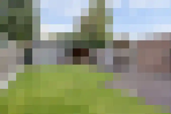 Dokter Duchateaustraat 35 Bergeijk thumbnail 33