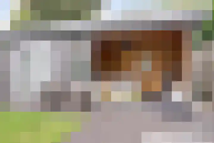 Dokter Duchateaustraat 35 Bergeijk thumbnail 34