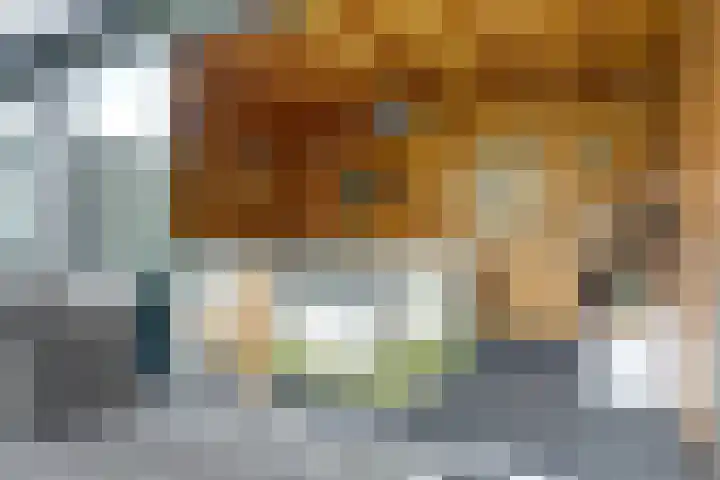 Dokter Duchateaustraat 35 Bergeijk thumbnail 35
