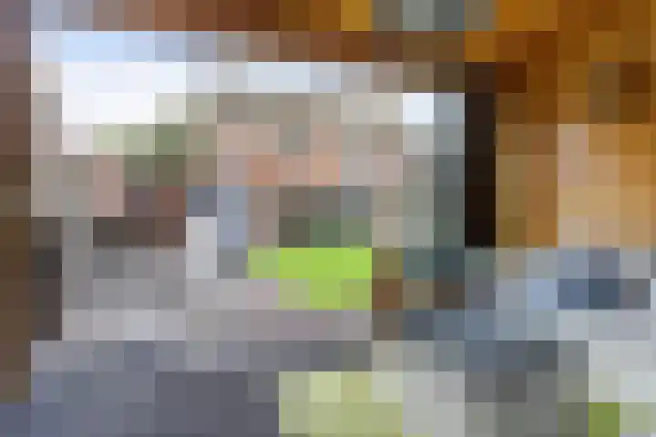 Dokter Duchateaustraat 35 Bergeijk thumbnail 36