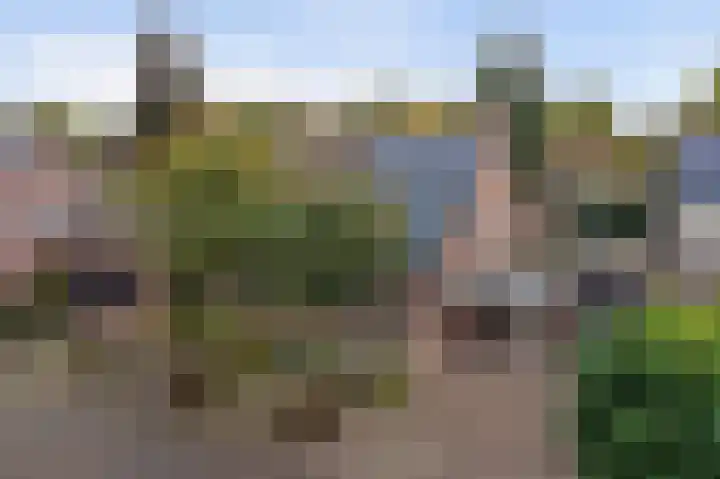 Dokter Duchateaustraat 35 Bergeijk thumbnail 39
