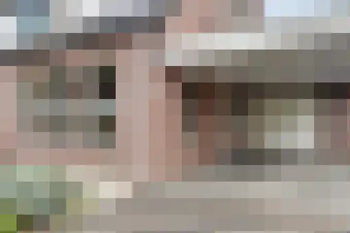 Dokter Duchateaustraat 35 Bergeijk thumbnail 4