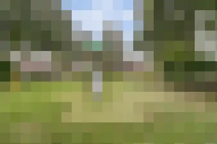 Dokter Duchateaustraat 35 Bergeijk thumbnail 41