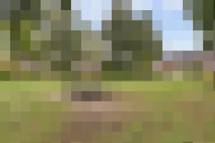 Dokter Duchateaustraat 35 Bergeijk thumbnail 42