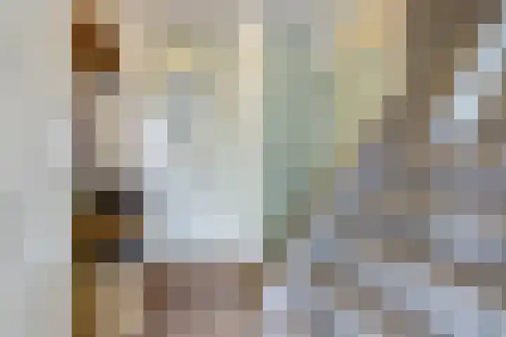 Dokter Duchateaustraat 35 Bergeijk thumbnail 5