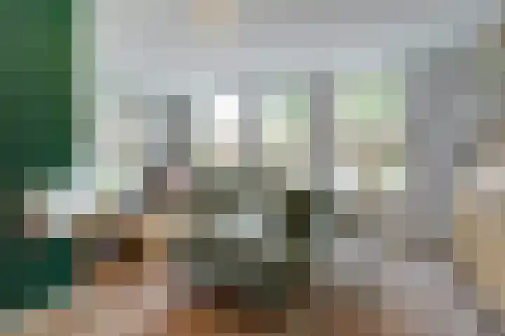 Dokter Duchateaustraat 35 Bergeijk thumbnail 7