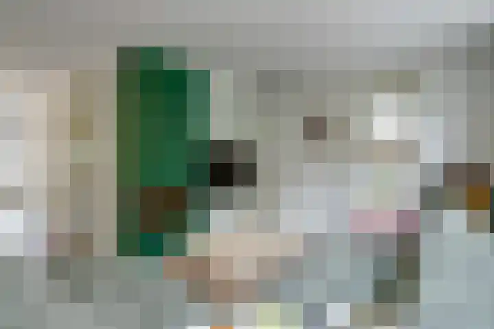 Dokter Duchateaustraat 35 Bergeijk thumbnail 8