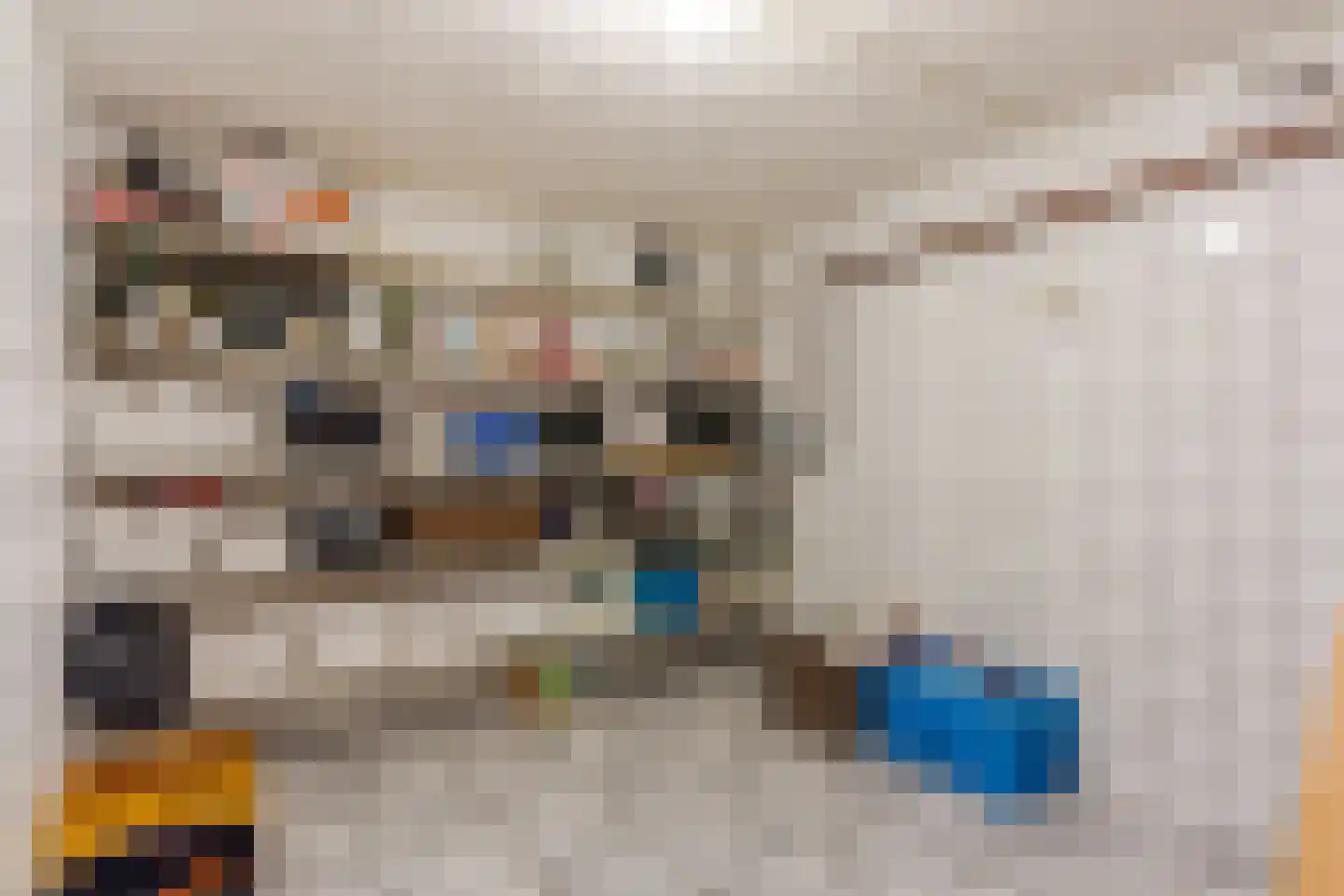 Dokter Duchateaustraat 70 Bergeijk thumbnail 21