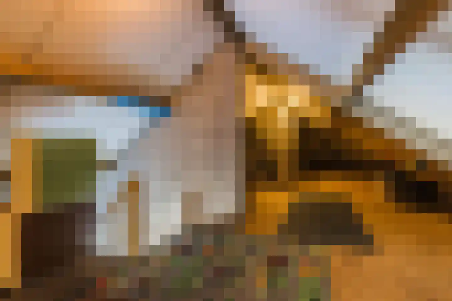 Dokter Duchateaustraat 70 Bergeijk thumbnail 29