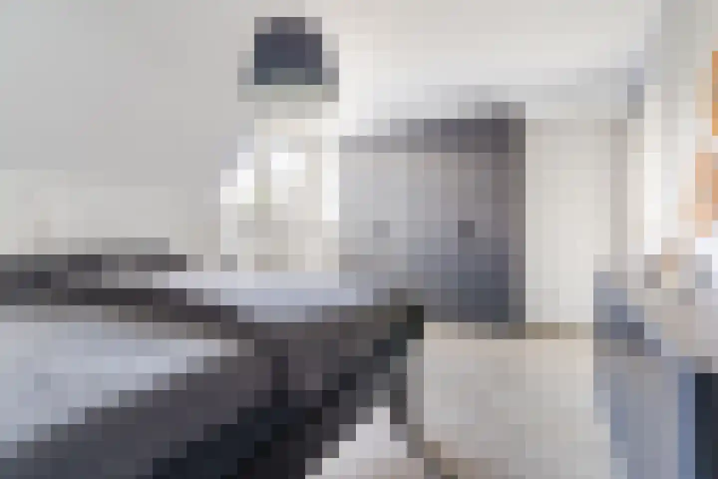 Dokter Duchateaustraat 70 Bergeijk thumbnail 31