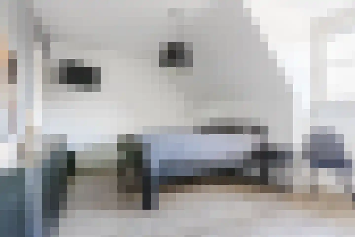 Dokter Duchateaustraat 70 Bergeijk thumbnail 32