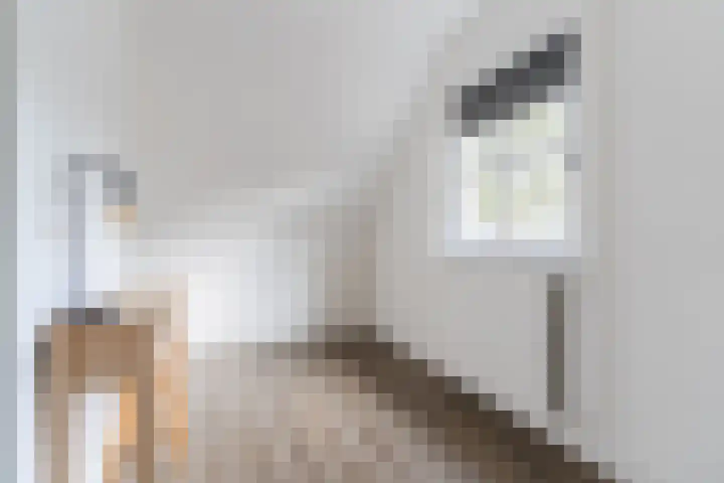 Dokter Duchateaustraat 70 Bergeijk thumbnail 37