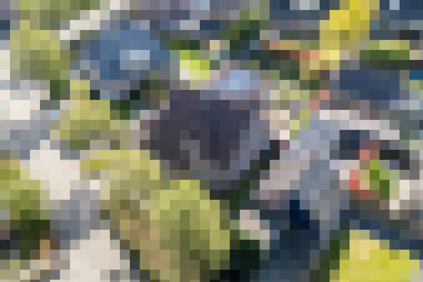 Dokter Duchateaustraat 70 Bergeijk thumbnail 4