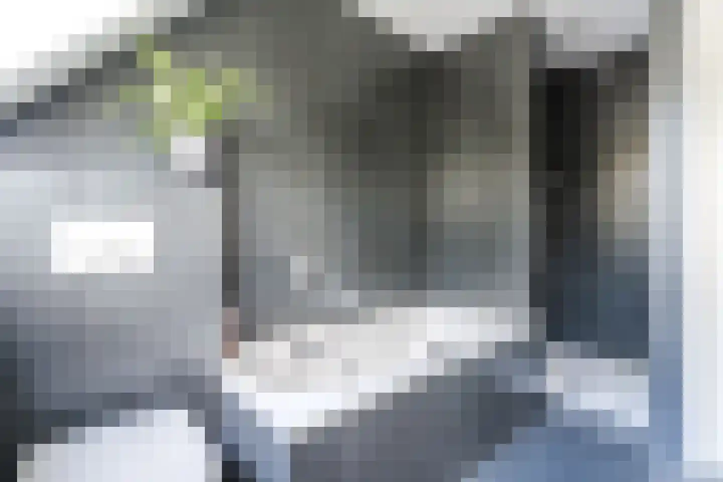 Dokter Duchateaustraat 70 Bergeijk thumbnail 40