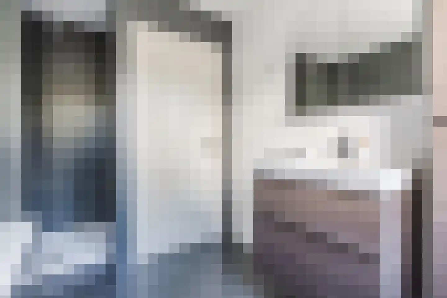 Dokter Duchateaustraat 70 Bergeijk thumbnail 41