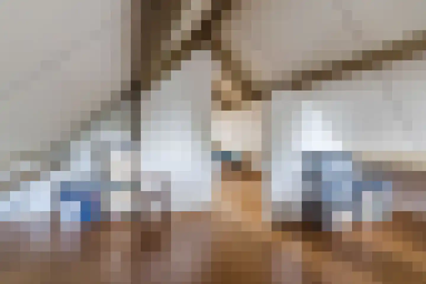 Dokter Duchateaustraat 70 Bergeijk thumbnail 44