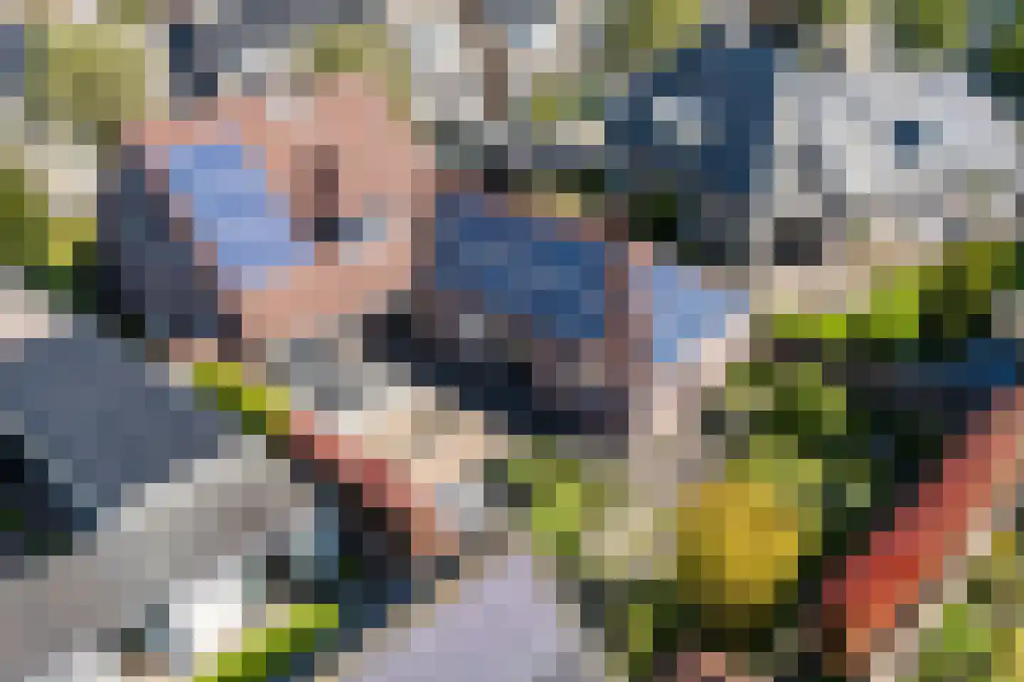 Dokter Duchateaustraat 70 Bergeijk thumbnail 46