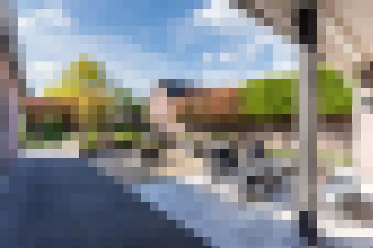 Dokter Duchateaustraat 70 Bergeijk thumbnail 47