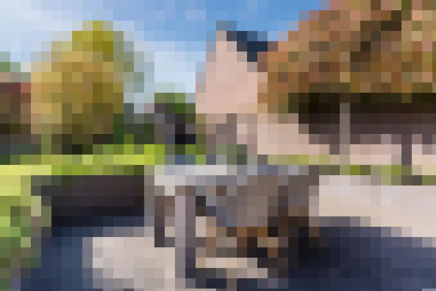 Dokter Duchateaustraat 70 Bergeijk thumbnail 52