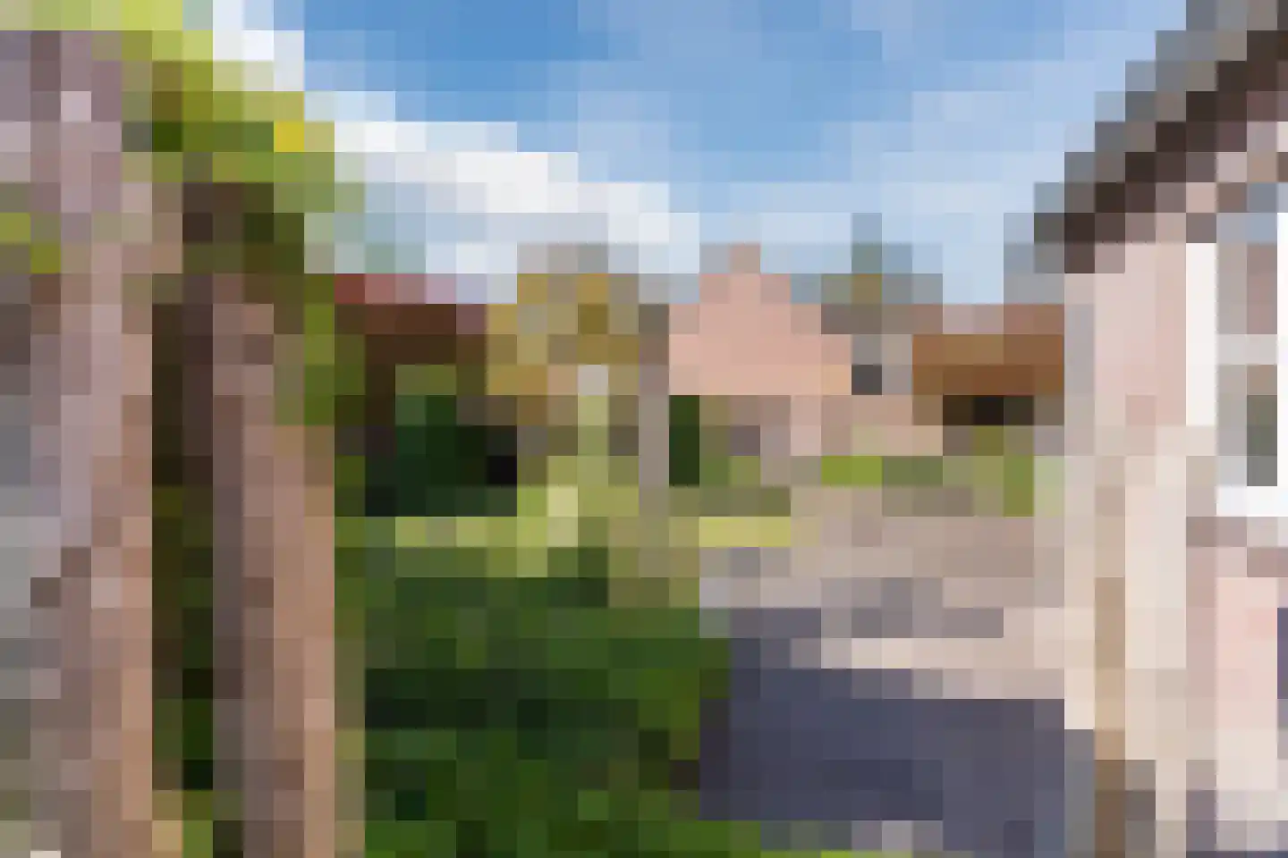 Dokter Duchateaustraat 70 Bergeijk thumbnail 54