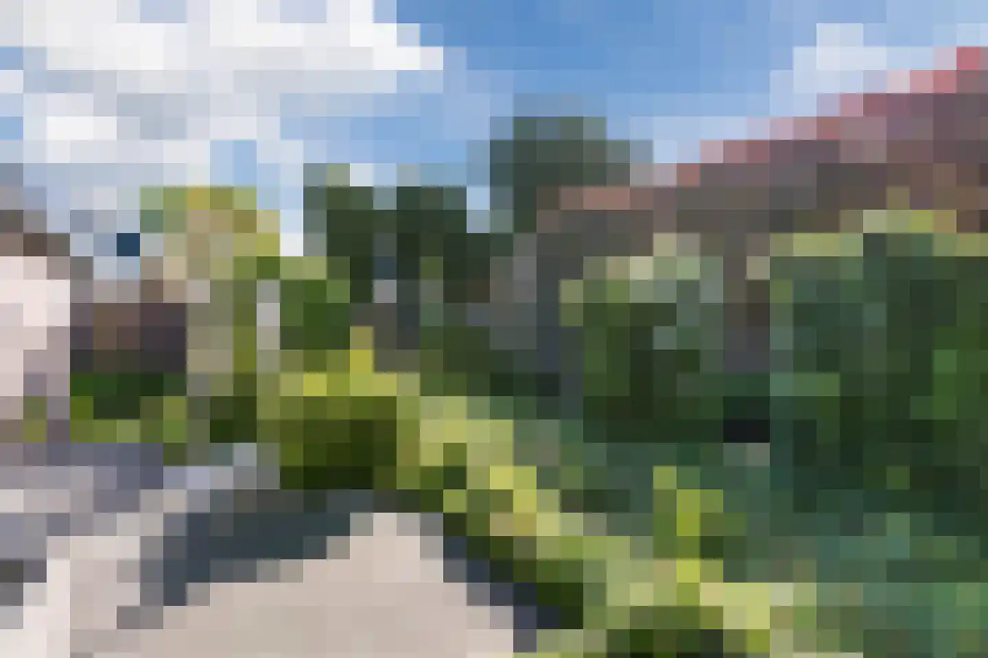 Dokter Duchateaustraat 70 Bergeijk thumbnail 55