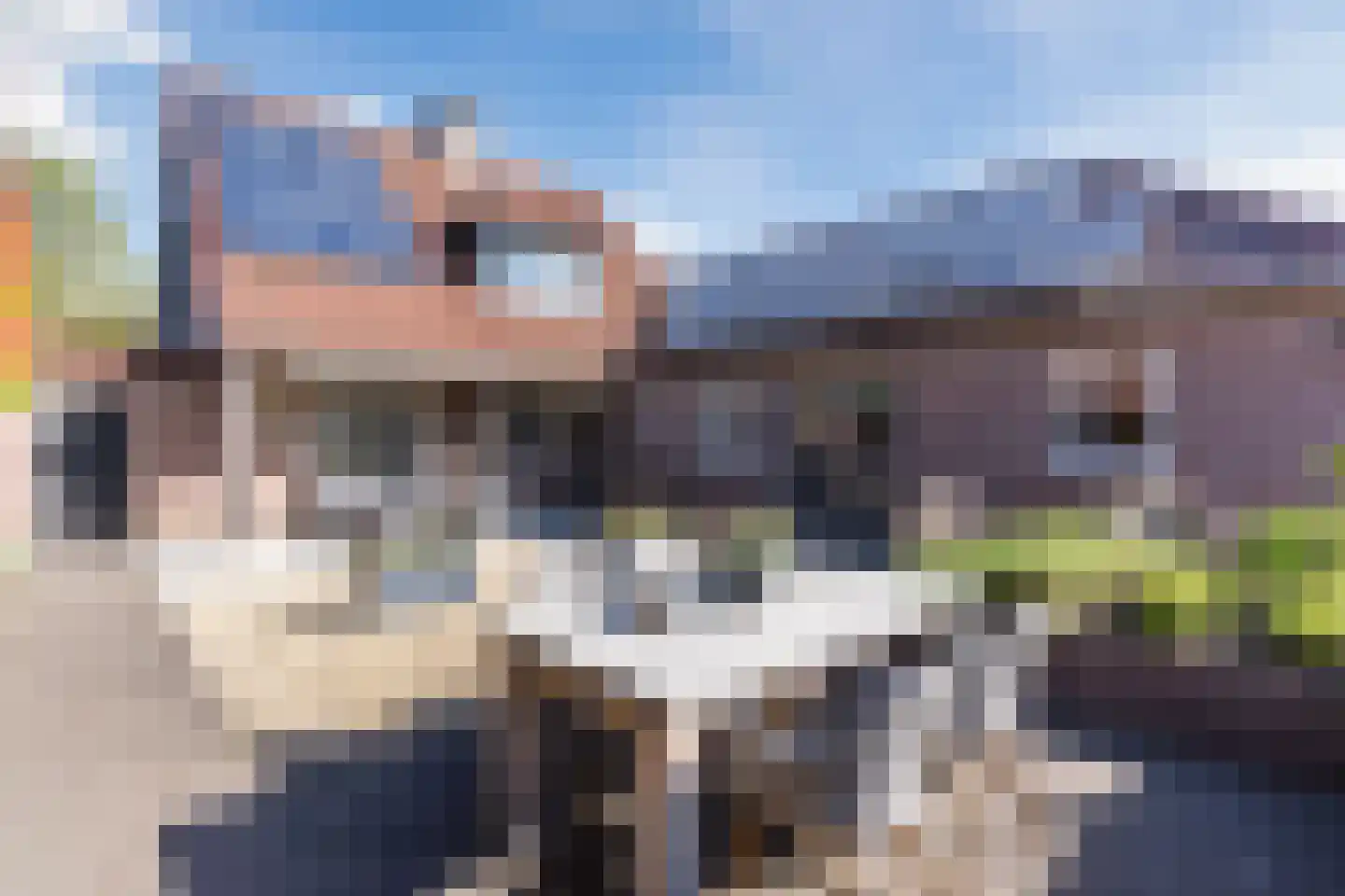 Dokter Duchateaustraat 70 Bergeijk thumbnail 57
