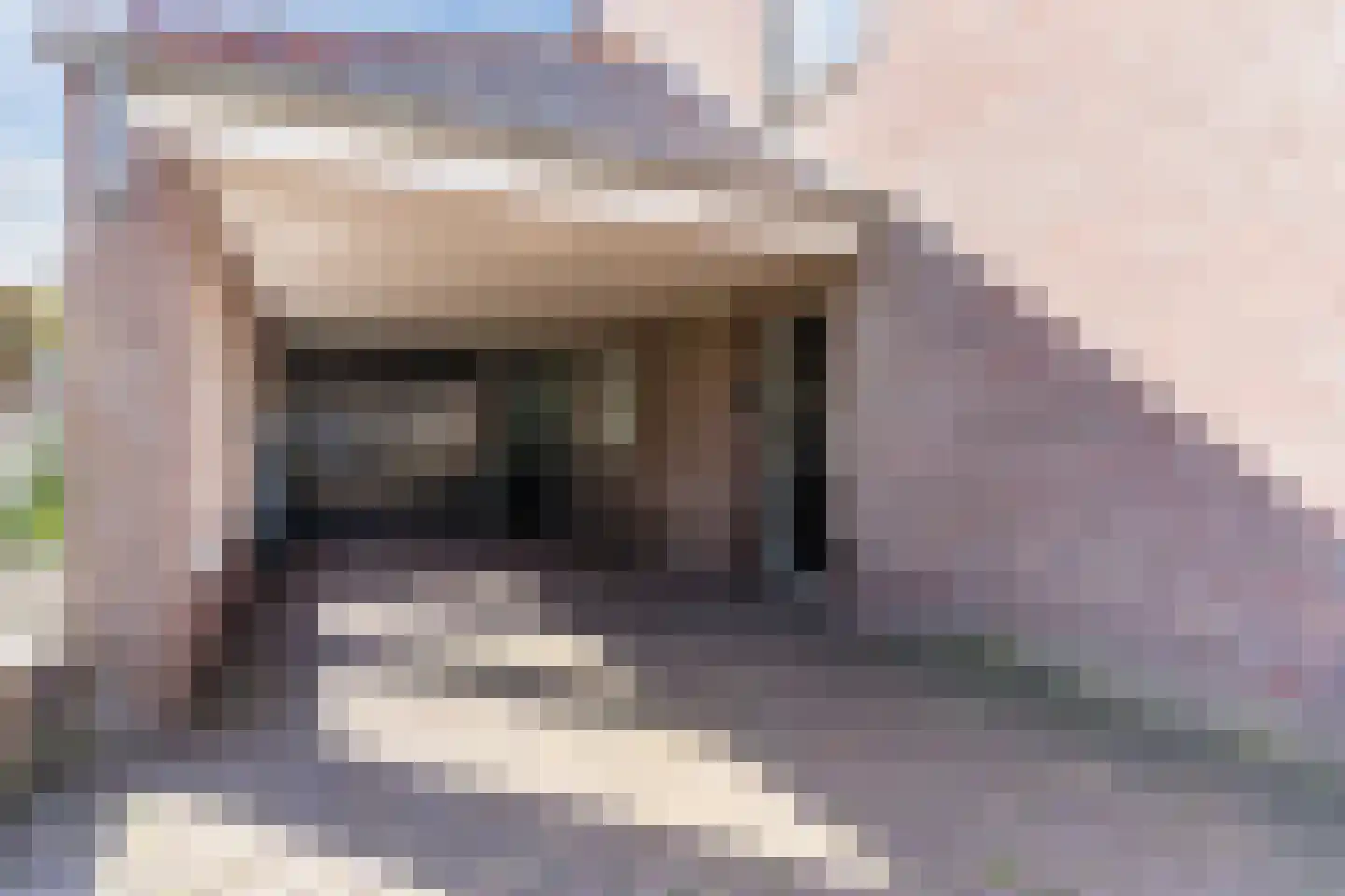 Dokter Duchateaustraat 70 Bergeijk thumbnail 63