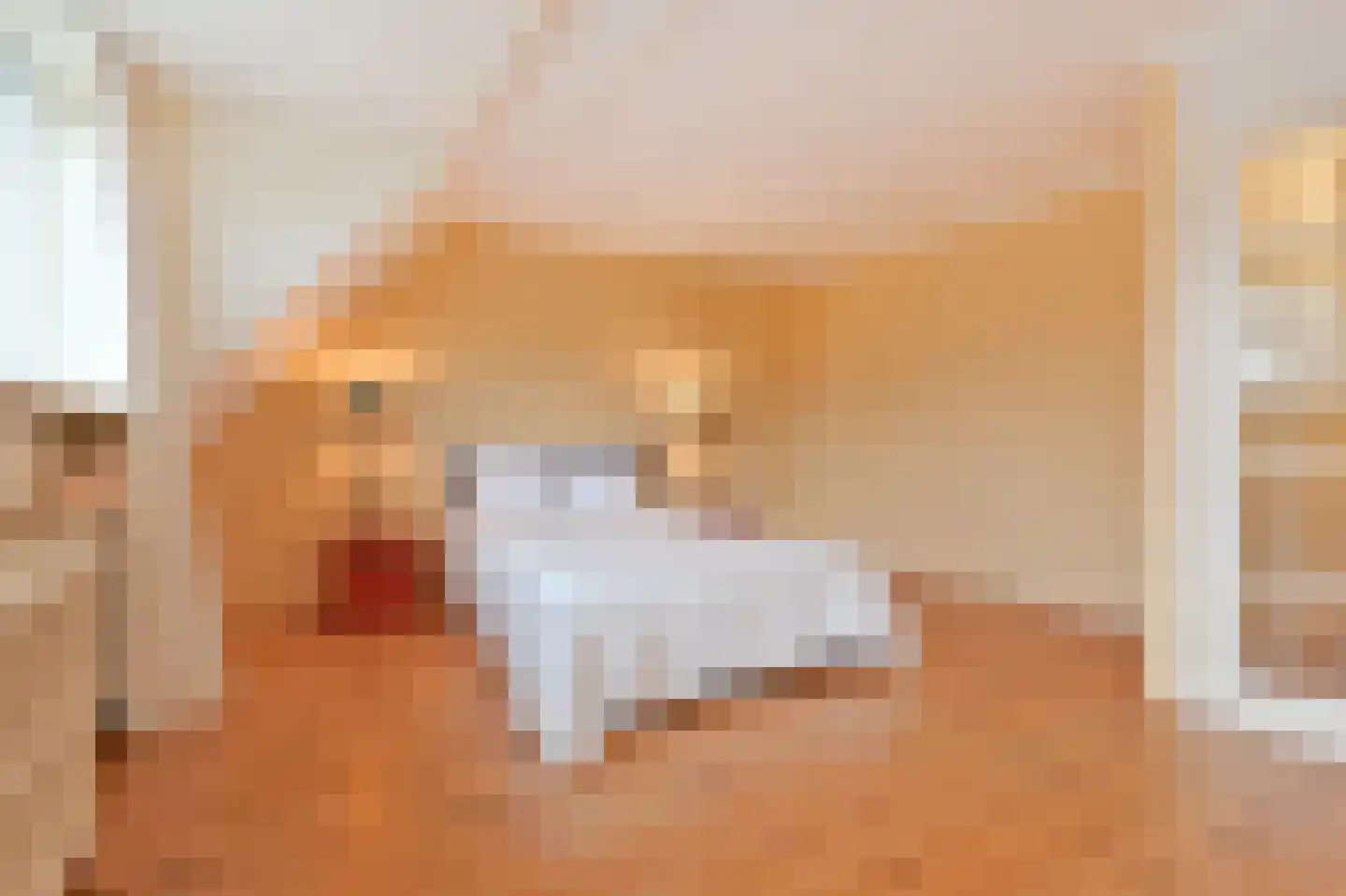 Dokter Duetzlaan 42 Wassenaar thumbnail 22