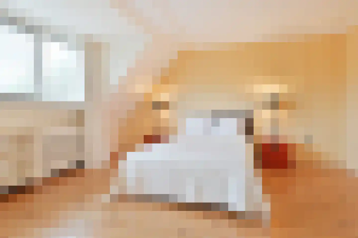 Dokter Duetzlaan 42 Wassenaar thumbnail 23