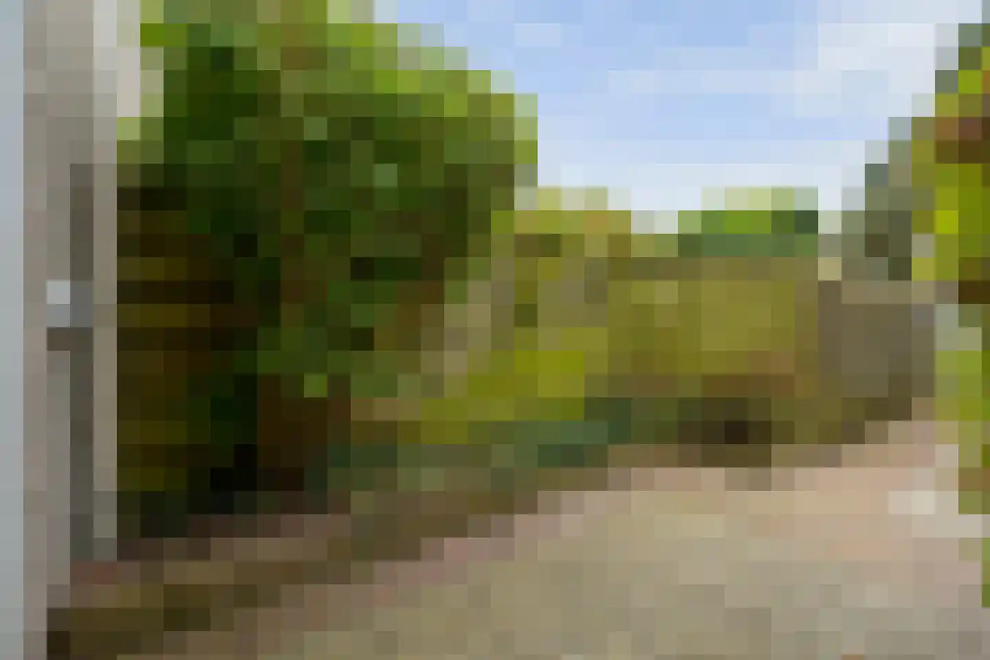 Dokter Duetzlaan 76 Wassenaar thumbnail 20