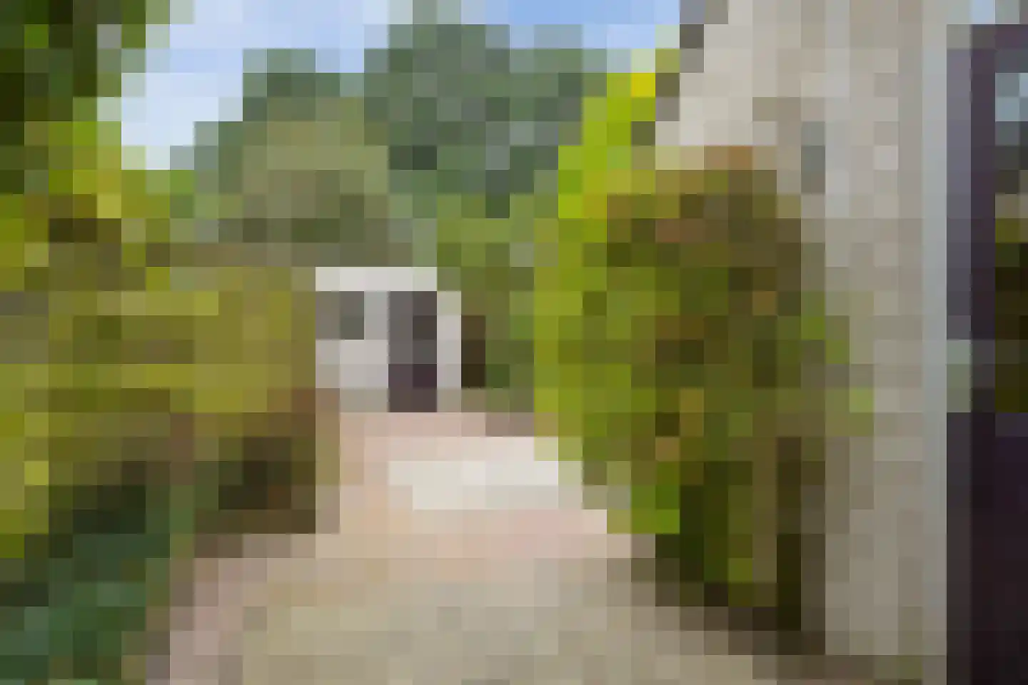 Dokter Duetzlaan 76 Wassenaar thumbnail 21