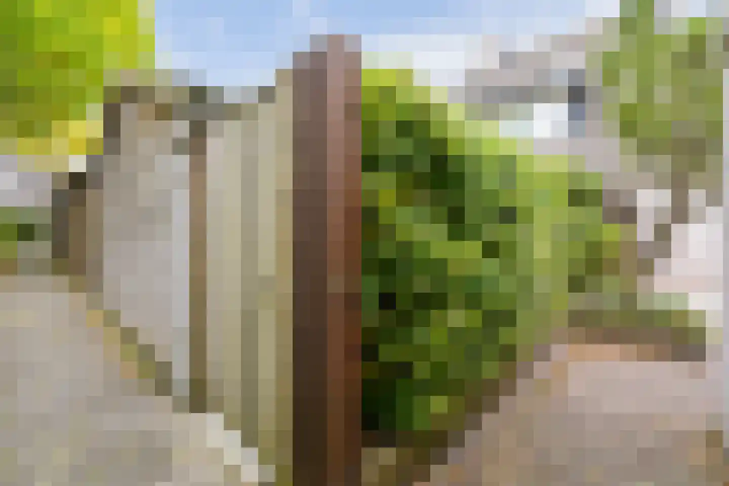 Dokter Duetzlaan 76 Wassenaar thumbnail 23