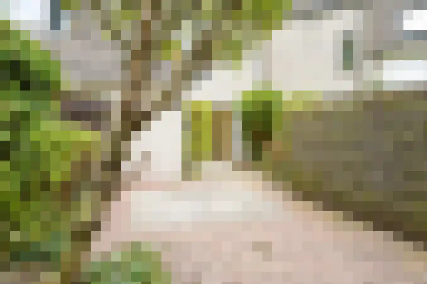 Dokter Duetzlaan 76 Wassenaar thumbnail 27