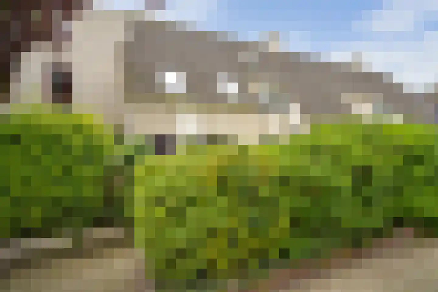 Dokter Duetzlaan 76 Wassenaar thumbnail 4
